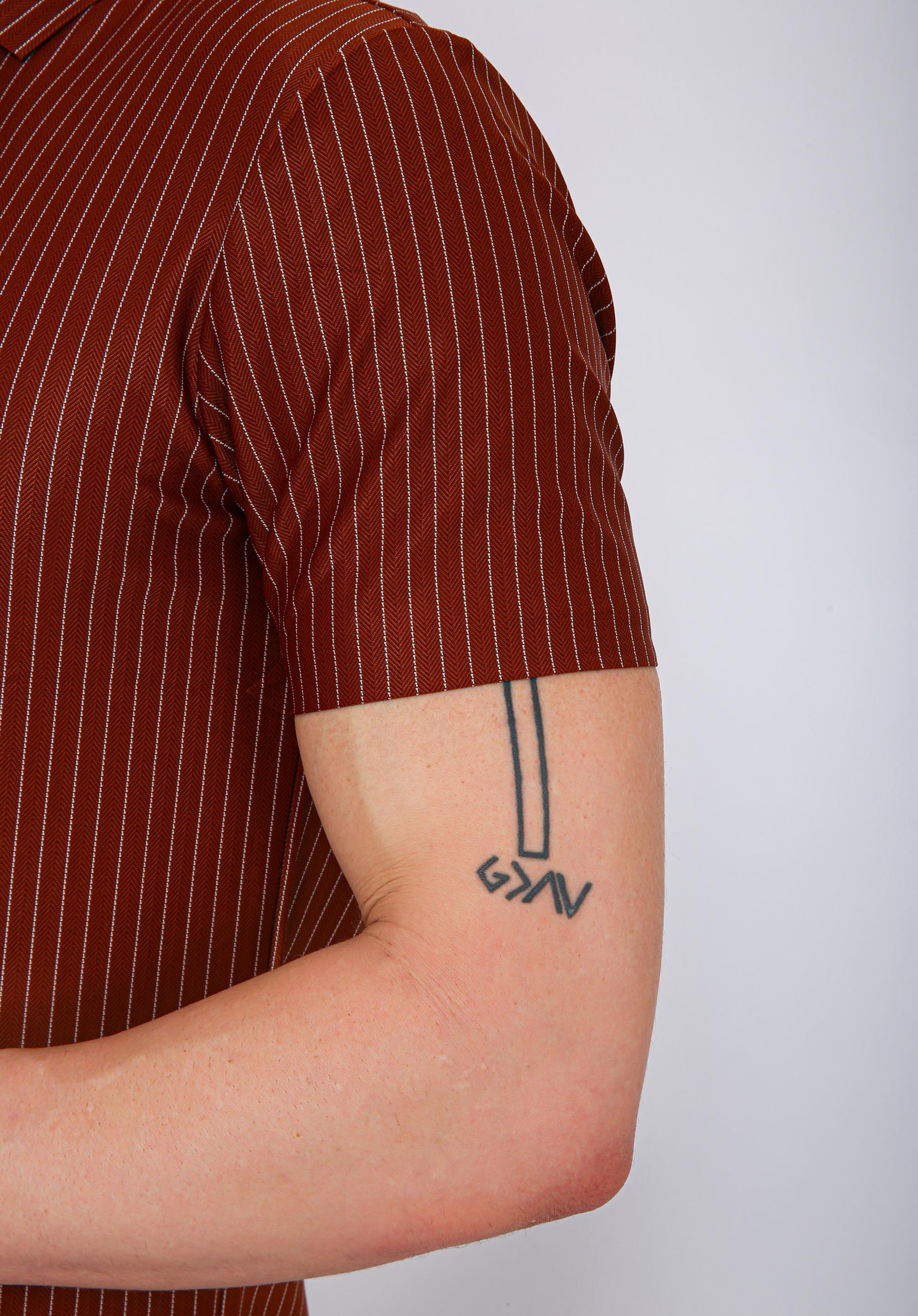 Premium Pinstripe Polo T-Shirt - Brown