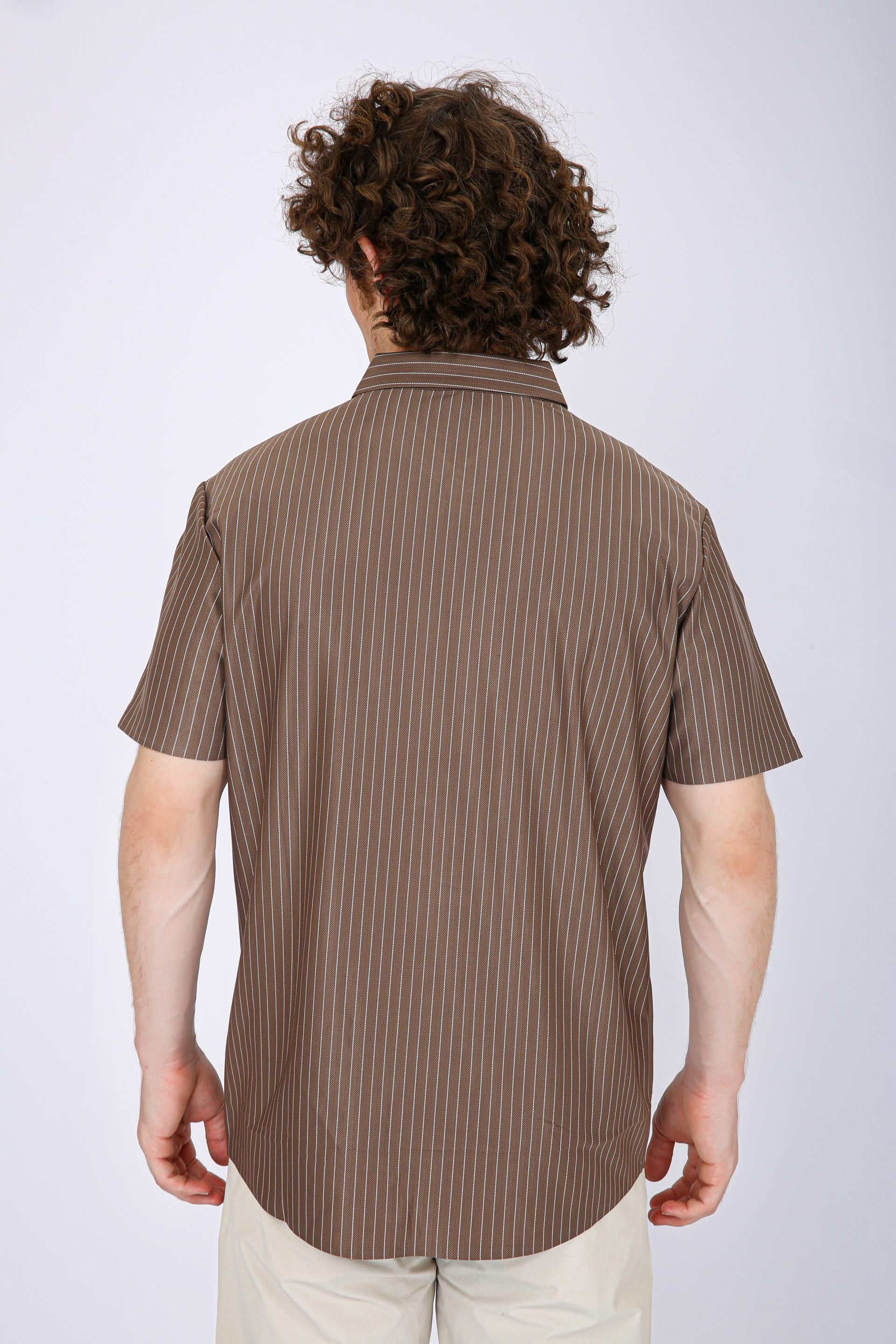 Premium Pinstripe Polo T-Shirt - Chiku