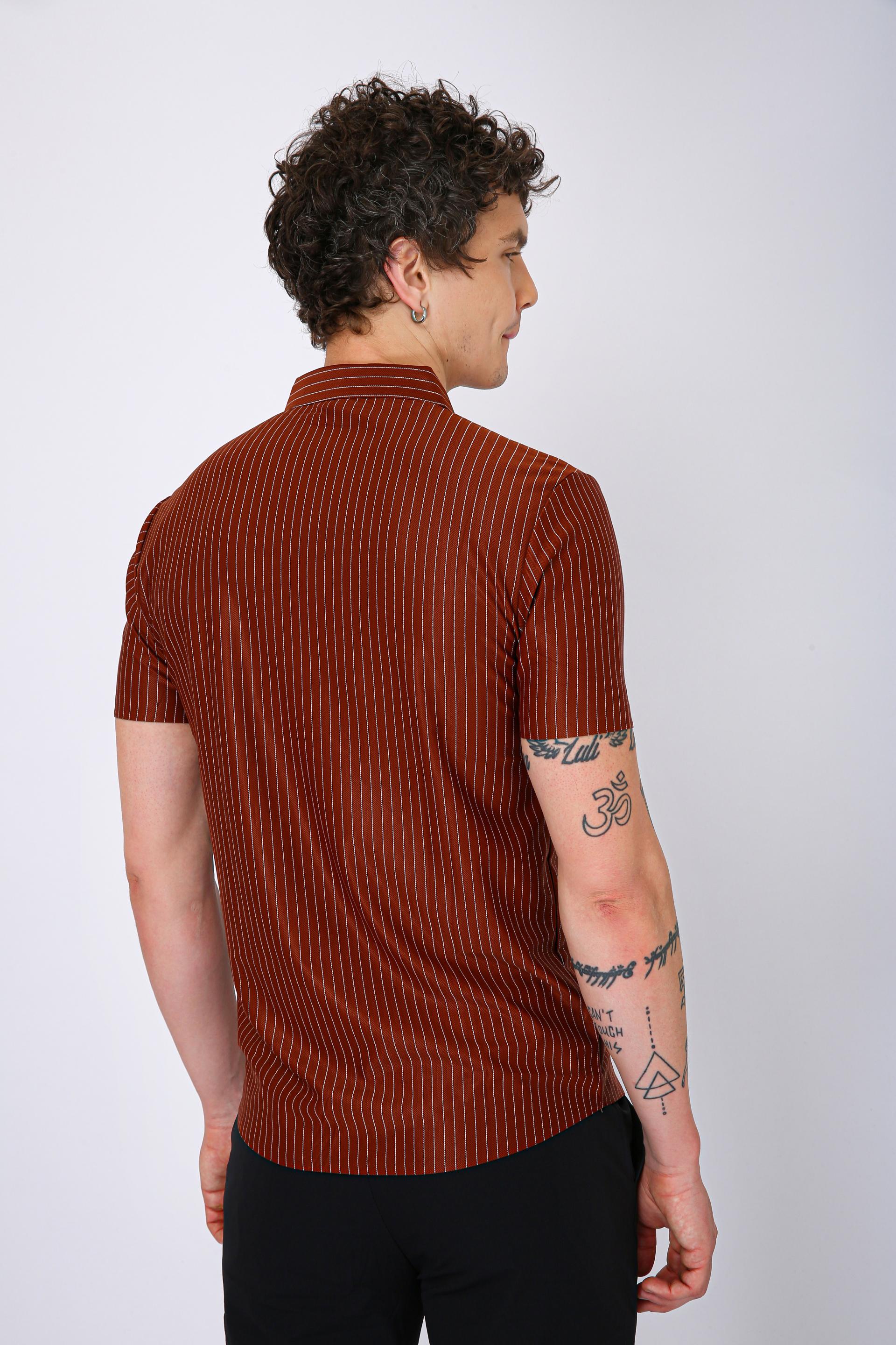 Premium Pinstripe Polo T-Shirt - Brown